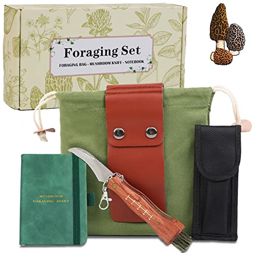 Guide To Find The Best Book On Mushroom Foraging To Buy Online BNB