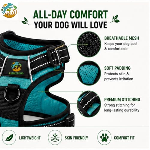 Image of Adjustable Padded Dog Harness with Leash | Comfortable Walking Harness for Dogs | Orange | Size S | Suitable for Dogs 11-15 kg