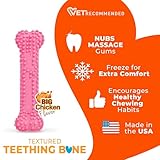 N/BONE PUP DENT CHKN PNK XS