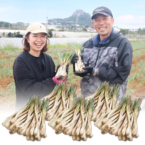 ���ꌧ�ɍ]���Y �`�l���o�^�P�̓�������傤5kg ���i�y�t���j ���K�}�[�W �ɍ]���_�Ƒg�� ���i�p���j�V���J ������