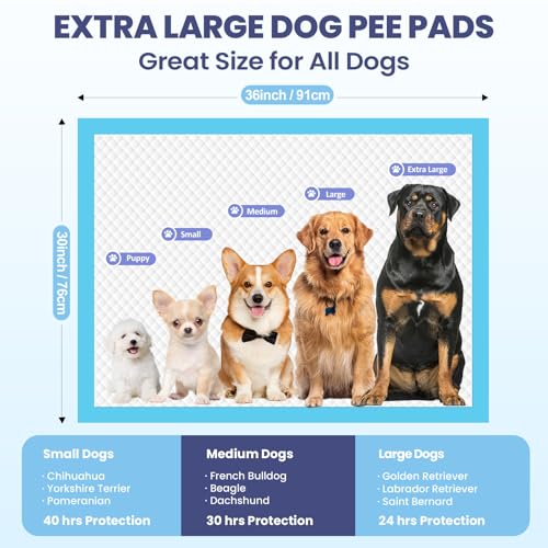 Image of SCLOSE Puppy Pads XXL 100 Count 30 inchx36 inch Dog Pee Pads Extra Large Potty Pads | Wee Wee Pads Great Value 7-Layers Super Absorbent Leak-Proof Disposable Training Pads for Puppies Doggie Pads Housebreaking