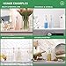 Bar5F Plastic Pump Bottles, 16 oz | Leak Proof, Empty Clear Cylinder, Refillable, BPA Free for Body Wash, Moisturizer, Face Cream, Liquid Hand Soap | Pack of 2