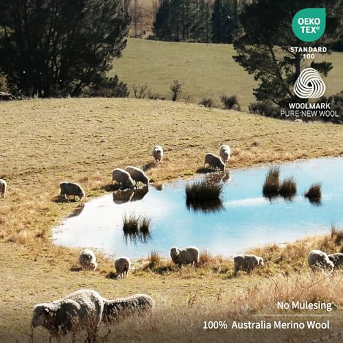 Merino Protect 100% Merino Wool Polo Shirts Mens Anti-Odor Short Sleeve Moisture Wicking Base Layer for Travel2