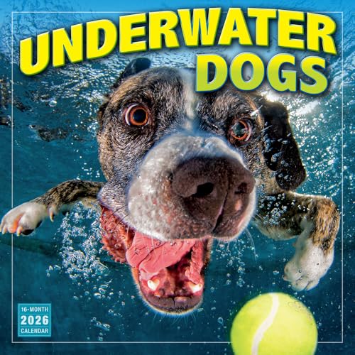Underwater Dogs 2026 Wall Calendar, 16-Month Funny Dog Photography Calendar by Seth Casteel, 12" x 12", 2026 Wall Planner with Large Grids, Hilarious Pet Photos