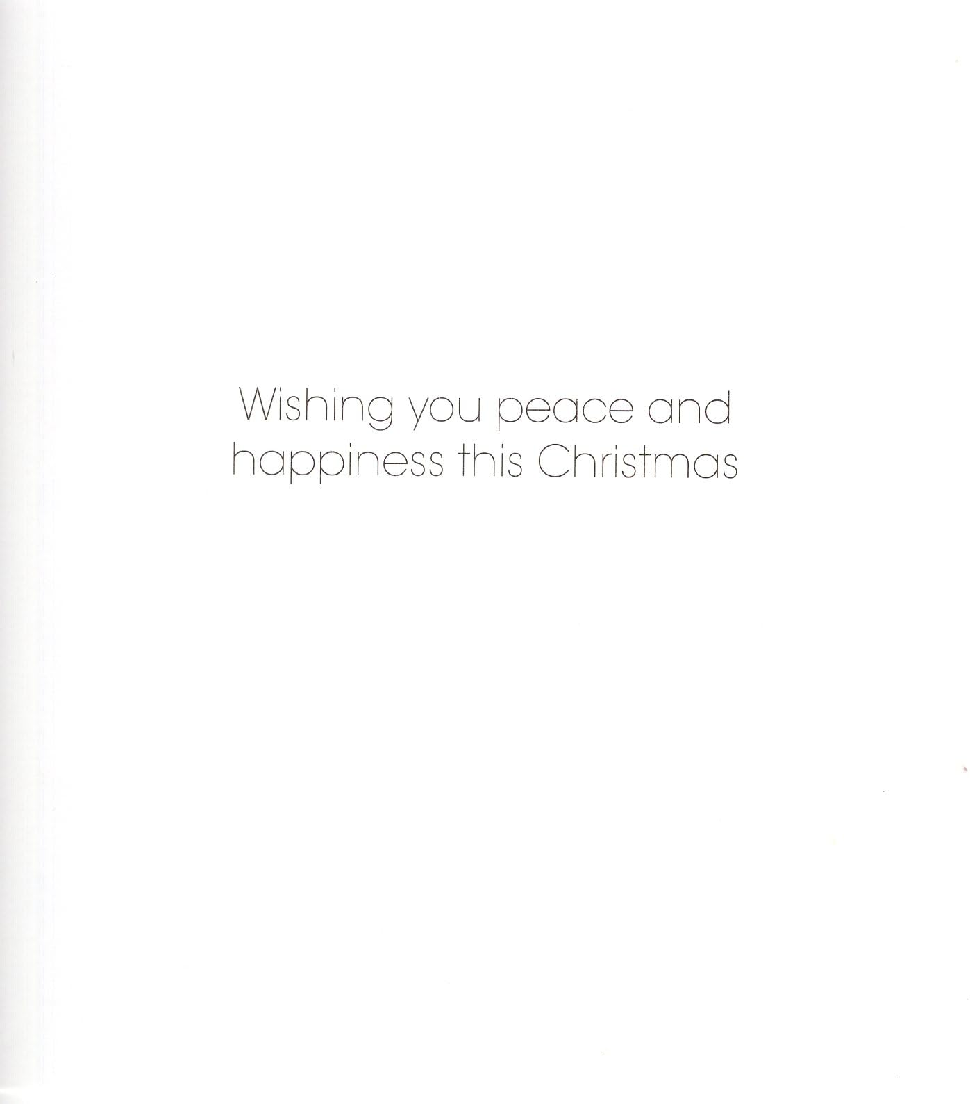 Charity Christmas Cards Pack of 5 - Age UK, Marie Curie, BHF, Mind - Religious Design - The Nativity - Made in the UK - Eco-Friendly - Image 3