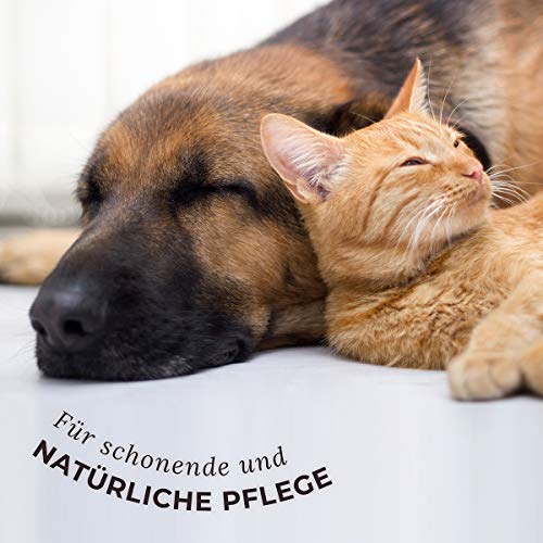 AniForte Kokosöl für Tiere 1000ml, Kaltgepresst, Nativ, Kontrollierte Premium Qualität, Schutz, Ergänzung und Pflege für Fell, Kokosnussöl Kokosfett für Hunde, Katzen und Haustiere, Kokos Öl flüssig