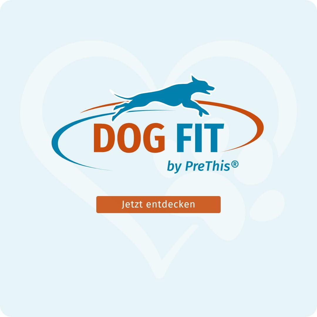 DOG FIT by PreThis® Senior-Vital-Bundle für Hunde: Care Senior & Vitamin B Komplex medium 10-25 kg I Ganzheitliche Unterstützung für Gelenke, Knochen & Nerven älterer Hunde