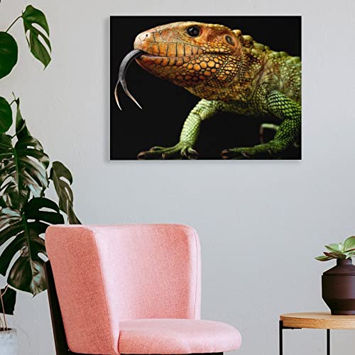 Minimalist Poster Animal Peruvian Alligator Lizard Art Posters Canvas Wall Art Prints For Wall Decor Room Decor Bedroom Decor Gifts Posters 24X32Inch(60X80Cm) Frame-Style #TOP3