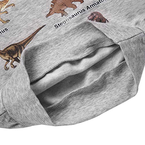 Image of Akyzic Boys Sweatshirts Cotton Long Sleeve Crewneck Pullover Toddler Kids Winter Warm Shirt Sweater Tops 3t-8t