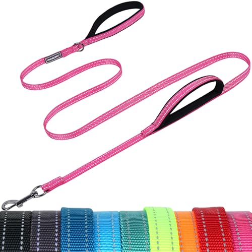 VIVAGLORY Twingrip Führleine Hund, Leine Hund Hausleine Joggingleine, Hundeleine mit 2 Griffen Doppelgriff, Gepolstert Neopren & Reflektierend