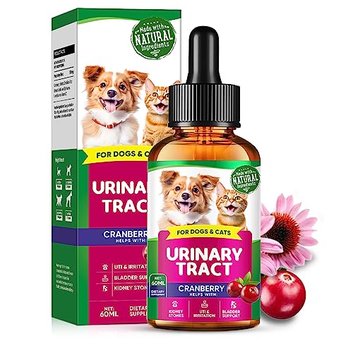 5 Best OvertheCounter Cat UTI Medicines to Keep Your Feline Friend