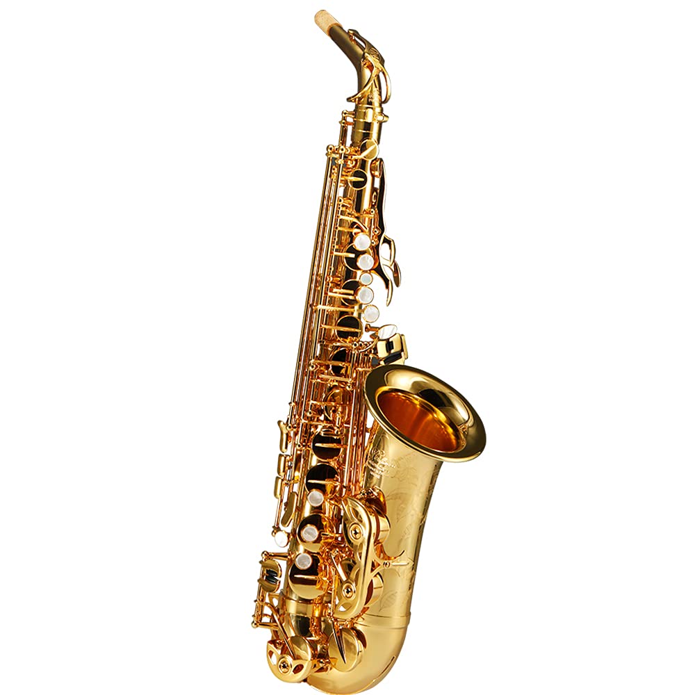 Rollins Saxophone alto RSA-X10,E flat Selmer 54-Key,Matière laiton, Or