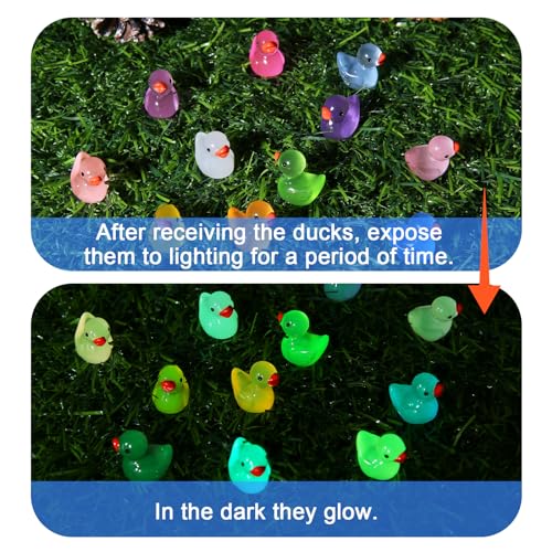 بطة صغيرة من الراتنج من تيلوكو، 50 قطعة من البط الصغير المضيء، بط مصغر لطيف يتوهج في الظلام للحديقة وبيت الدمى، زينة البط والمناظر الطبيعية الصغيرة وديكور حفلات حوض السمك (12 لونًا)