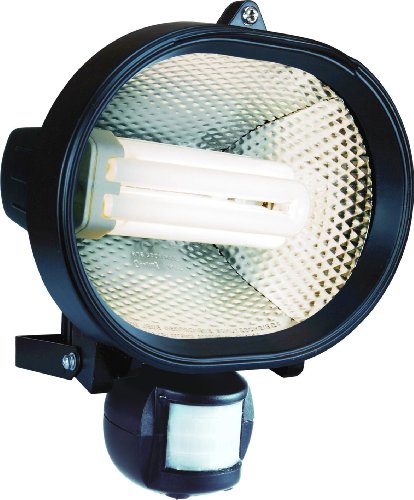 Preisvergleich Produktbild Elro ES24 Energiesparstrahler mit Bewegungsmelder / 10 m x 160°