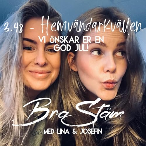 3.48 - Hemv&auml;ndarkv&auml;llen