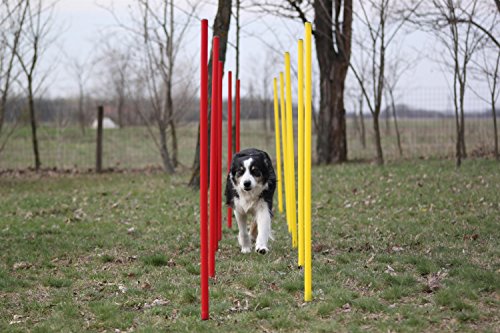 Wuzzmann Agility-ÜBUNGS-Slalom-Set ROT/GELB, 12 RUNDE STANGEN