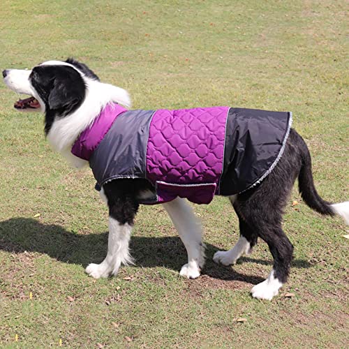 Abrigo impermeable para mascotas ideal para paseos lluviosos con perros medianos 3