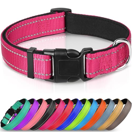 10 Best Dog Collar For Shih Tzu