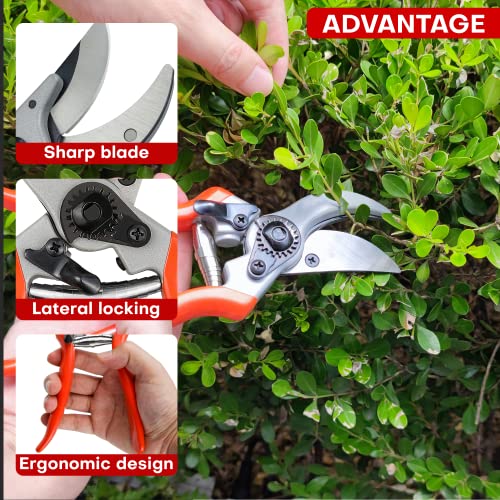 Image of YIYITOOLS Pruning Shears, One-Hand Garden Shears, Gardening Hand Tools Tree Trimmers with Rubber Handles, Pruning Scissors with Titanium Coated Stainless Steel Blades, Gift For Gardeners