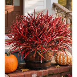 Ivydale 12Pcs Artificial Plants Outdoor Fake Plastic Grass Fall Decoration UV Resistant Faux Greenery Stems Bushes Outside Fake Plants for Planters Patio Porch Window Garden Home Decor