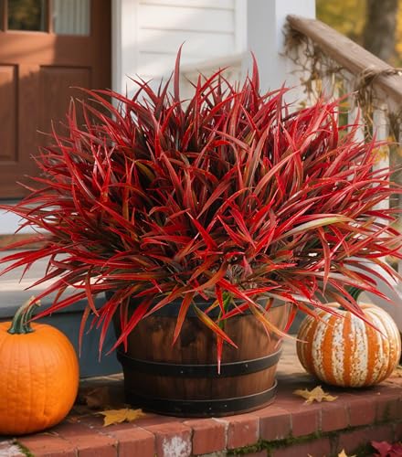 Ivydale 12Pcs Artificial Plants Outdoor Fake Plastic Grass Fall Decoration UV Resistant Faux Greenery Stems Bushes Outside Fake Plants for Planters Patio Porch Window Garden Home Decor Ivydale 12Pcs Artificial Plants Outdoor Fake Plastic Grass Fall Decoration UV Resistant Faux Greenery Stems Bushes Outside Fake Plants for Planters Patio Porch Window Garden Home Decor