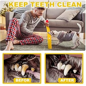 Chritmas deer dog toyschritmas gift for dogsplush dog tosydog snuffle toyssqueaky dog toysdog chew toys for puppy teethingdog chew toys for smallmediumlarge dogs   cucciolini doodles