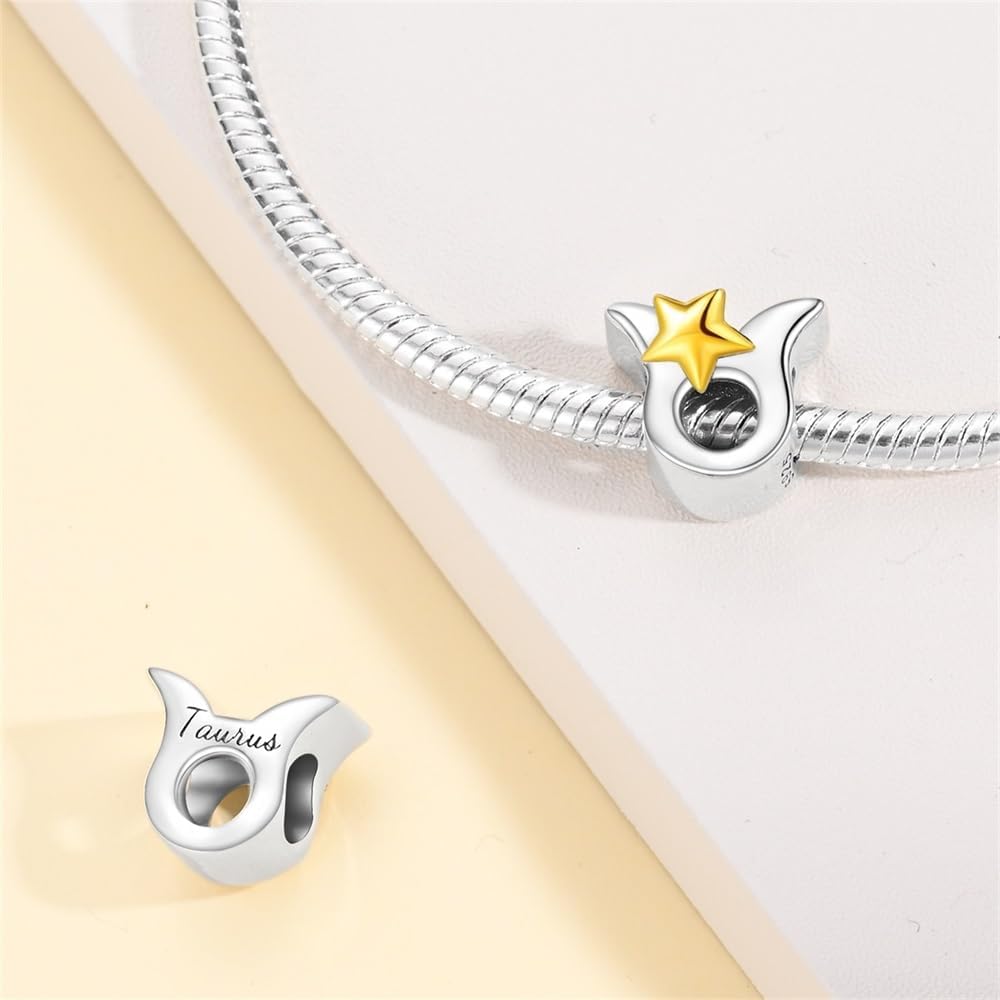 925 Sterling Silver 12 Astrological Signs Charm for Bracelets and Necklace Happy Birthday Charms for Bracelet and Necklace Valentine's Day Mother's Day Gift - Image 2