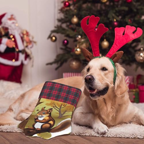 LiuMng Nussfressende Eichhörnchen, personalisierte Weihnachtsstrümpfe mit Pfotenabdrücken – festliche Hängedekoration für Familienkamin, Schwarz, Einheitsgröße