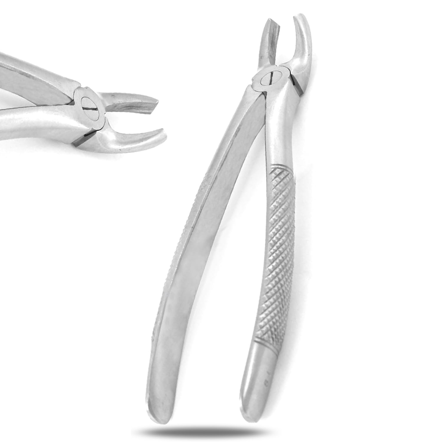 PC EXTRACTING Forceps #19 English Pattern Dental Instruments