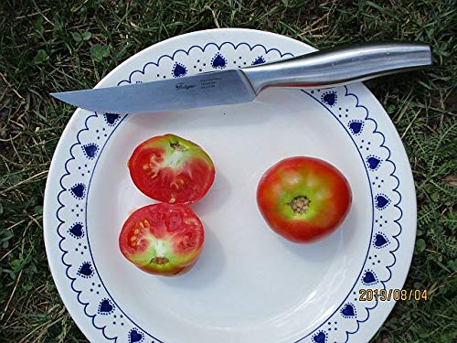 Spanische RAF Tomate – Die teuerste Tomate der Welt!