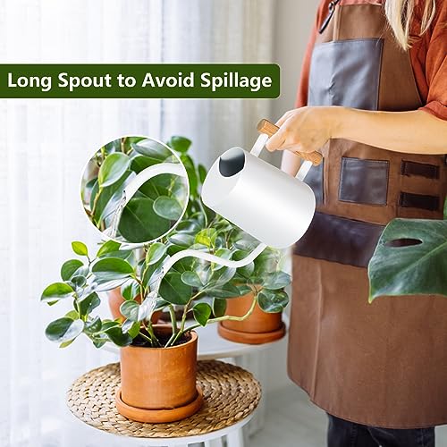 Image of Watering Can Indoor Plants, 35oz Small Stainless Steel Metal Watering Can Modern Decorative Watering Pot with Long Spout for Indoor House Plant Bonsai Outdoor Garden Flowers -White