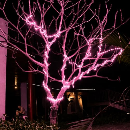 Image of COXO 1 Meters LED Rope Light for Decoration - Waterproof Pink SMD Cove Light for Ceiling, Home Decor, LED Pipe Light for Diwali, Festival, Indoor, Outdoor Use (Pink, 1 Meter)