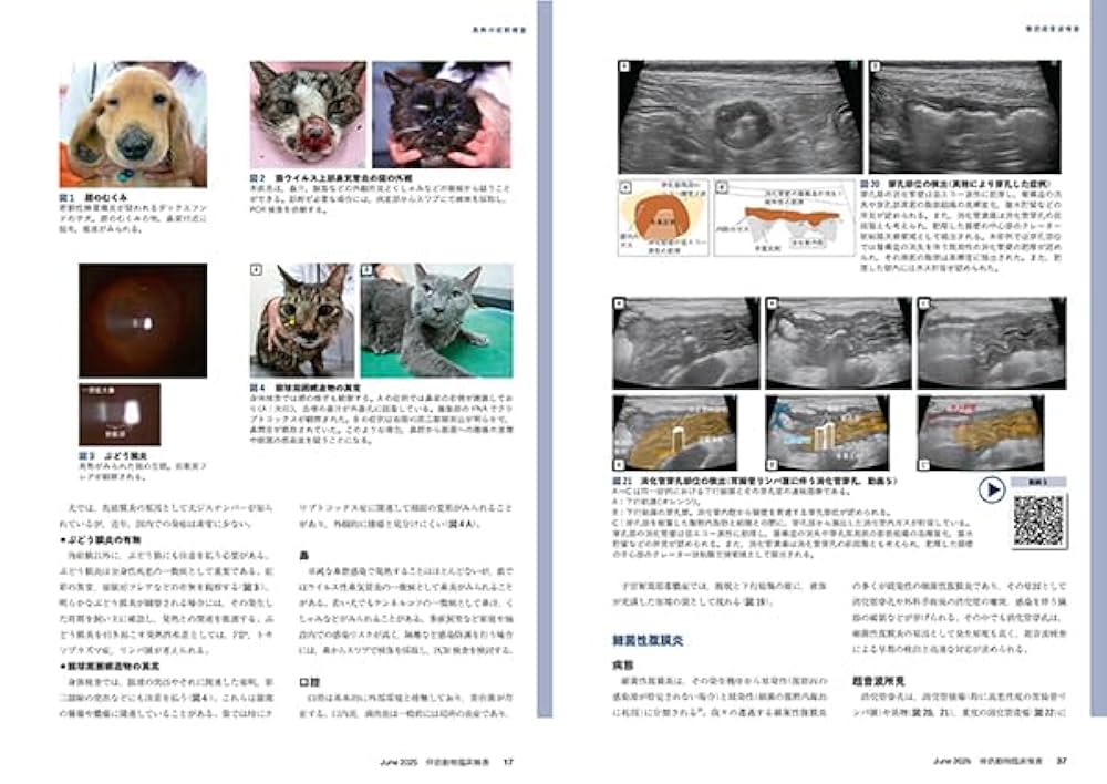 伴侶動物画像診断 (No.1) [大型本] 伴侶動物画像診断｜定期購読 - 雑誌のFujisan