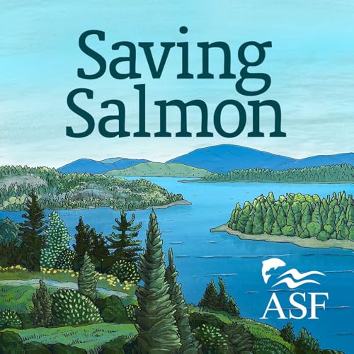『Saving Salmon』のカバーアート