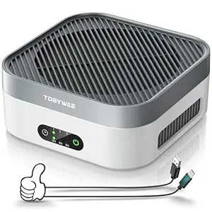Air Purifiers for Home, TDBYWAE Air Purifier for Bedroom Up to 600 ft, H13 True HEPA, Mini Air Cleaner for Desk/Car/Travel, for Dust Pets Dander Pollen Odor Smoke, with New Quiet Wind Wheel System