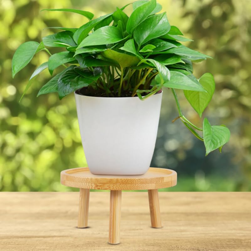 Image of balacoo Solid Wood Plant Stand 2 Pack 5.11 inch Flower Pot Stand and Plant Riser for Indoor Use Wooden Holder for Living Room Balcony Desk Window Sill Natural Finish