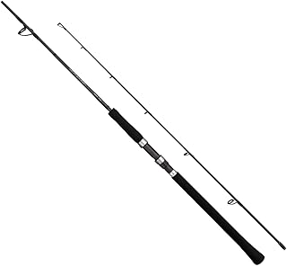 Amazon Co Jp ソルティーアドバンス Shore Jigging S1000m