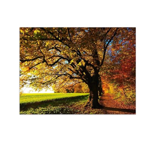 Impression de nature sur toile forêt d'automne haute définition 40x50cm