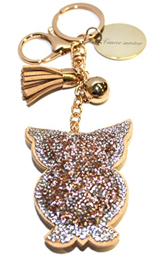 Preisvergleich Produktbild LR55 Schlüsselanhänger / Handtaschenanhänger mit Krebsüberlebender Eule, personalisierbar, in Geschenkbeutel