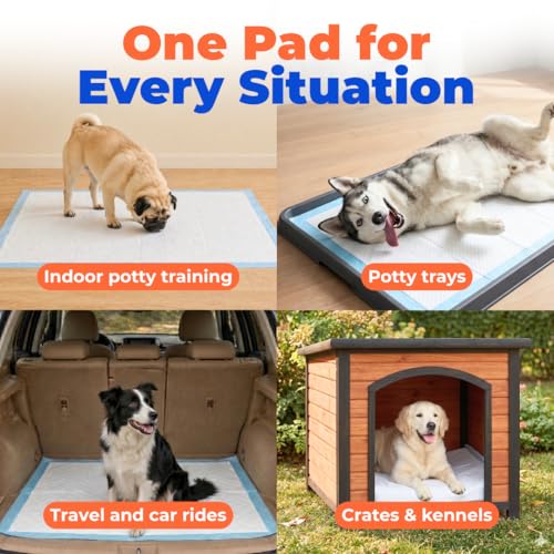 Best Pet Supplies XL (36 x 28 Inches) Puppy Pads 100 Count - Super Absorbent Dog Training Pads, Quick-Dry, Odor Control, Disposable Pee Pads, Leak-Proof Wee Wee Pads for Indoor Dogs – Baby Blue