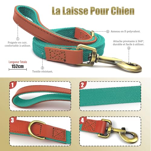 Qianruida Nylon Dog Collar and Leash Set Durable, Adjustable with a Solid Fastening, Comfortable and Durable - Image 3