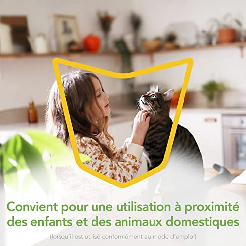 Raid essentials aérosol freeze action insectes rampants 350ml - vue 4