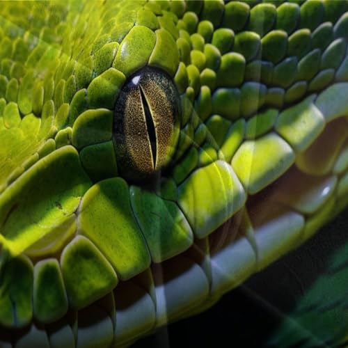 Parure de lit serpent 3D King de qualité supérieure en microfibre douce et résistante - 8