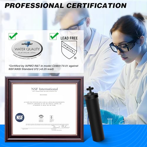 NSF/ANSI 42&372 Certified Water Filter Replacement Compatible with Berkey® BB9-2® Black Filters, Gravity Filter System, Purification Elements Compatible with Travel, Large, Royal, Crown Series, 2 Pack