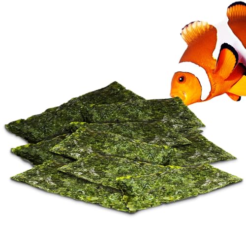 JOR Seaweed Sheets for Tangs, Angels, Plecos & Shrimp, 1 oz
