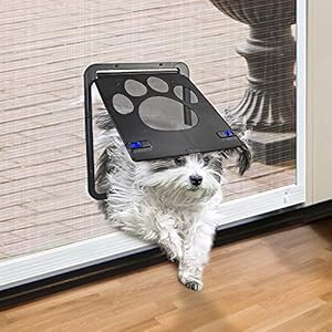 Small Doggie Door
