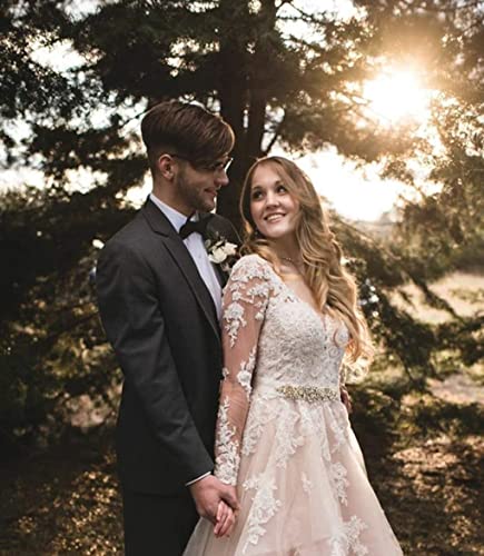 See Through Long Sleeve Applique Wedding Dresses Double V Neck Ruffled Organza Bridal Dress for Bride4