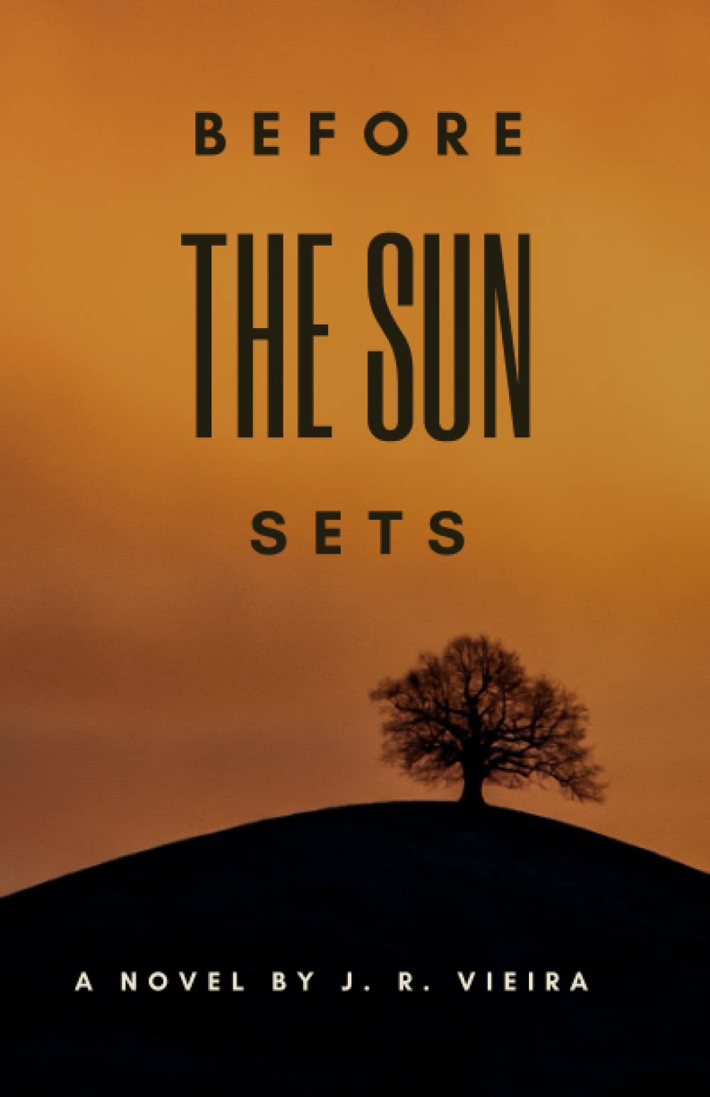 Before the Sun Sets