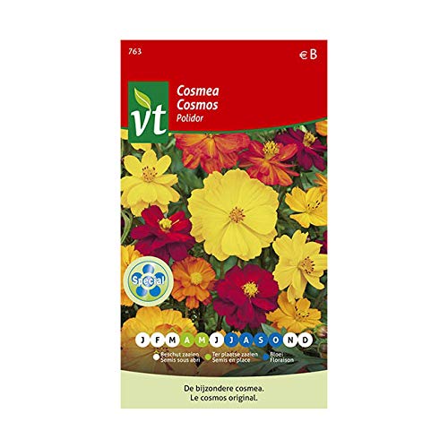 Cosmos Polidor Graines - Fleurs semi-doubles dans des coloris éclatants Cover
