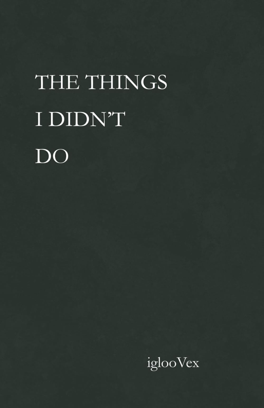 THE THINGS I DIDN'T DO